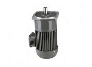 減速齒輪電機(jī)的組成和設(shè)計(jì)特點(diǎn)
